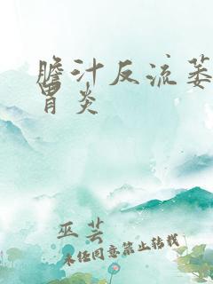 胆汁反流萎缩性胃炎