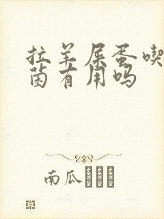 拉羊屎蛋吃益生菌有用吗