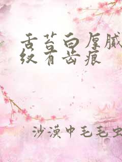 舌苔白厚腻有裂纹有齿痕