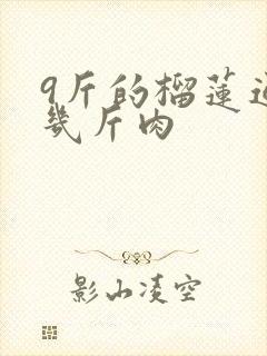 9斤的榴莲通常几斤肉