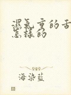 湿气重的舌苔是怎样的