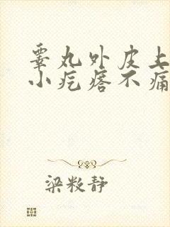 睾丸外皮上有个小疙瘩不痛不痒