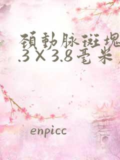 颈动脉斑块12.3×3.8毫米严重吗