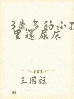 3岁多的小孩夜里还尿床