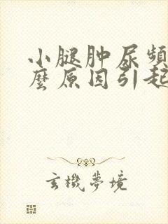 小腿肿尿频是什么原因引起的