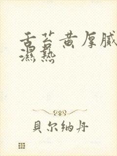 舌苔黄厚腻脾胃湿热