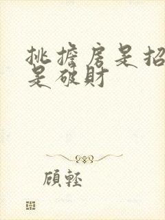 挑担房是招财还是破财