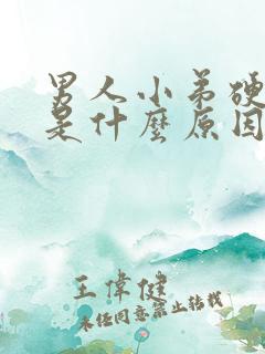 男人小弟硬不起是什么原因