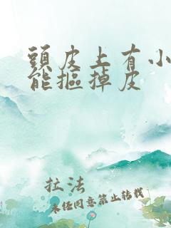 头皮上有小疙瘩能抠掉皮