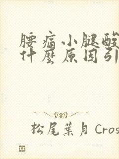 腰痛小腿酸胀痛什么原因引起的