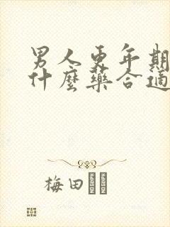 男人更年期了吃什么药合适