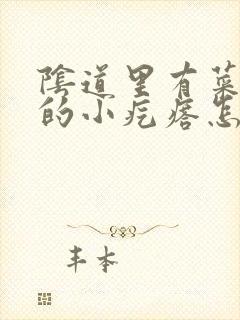 阴道里有菜花状的小疙瘩怎么回事