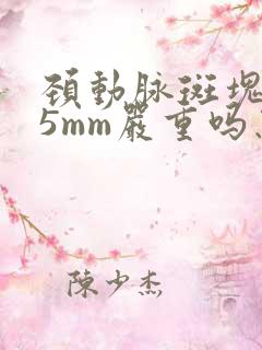 颈动脉斑块1.5mm严重吗怎么治疗好