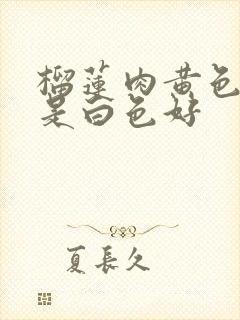 榴莲肉黄色好还是白色好