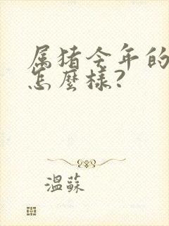 属猪今年的运气怎么样?