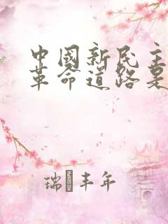 中国新民主主义革命道路是
