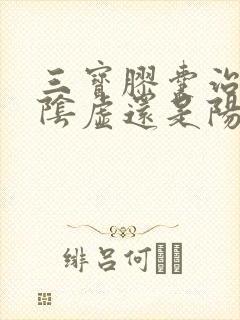 三宝胶囊治疗肾阴虚还是阳虚