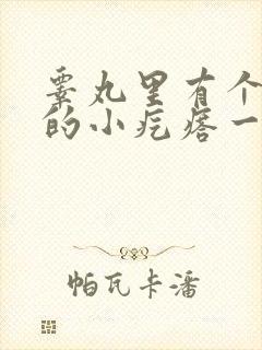 睾丸里有个硬硬的小疙瘩一碰就疼