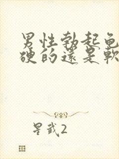 男性勃起龟头是硬的还是软的