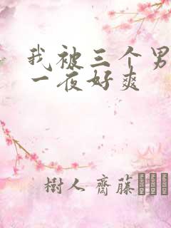 我被三个男人躁一夜好爽