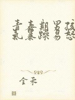 青春期男孩子脾气暴躁易怒怎么办