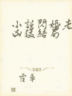 小说闪婚老公太凶猛结局