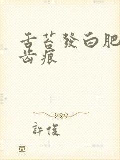 舌苔发白肥腻有齿痕