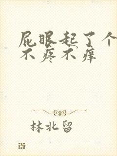 屁眼起了个疙瘩不疼不痒