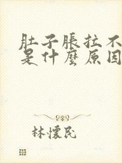 肚子胀拉不出来是什么原因