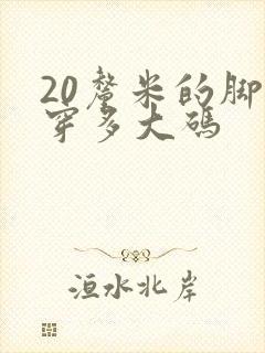 20厘米的脚长穿多大码