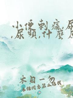 小便刺痛,尿急,尿频,什么原因引起