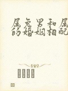 属兔男和属蛇女的婚姻相配吗