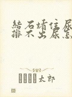 结石堵住尿道口排不出尿怎么办