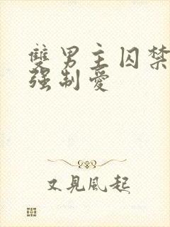 双男主囚禁调教强制爱