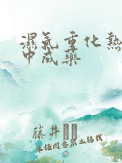 湿气重化热吃啥中成药