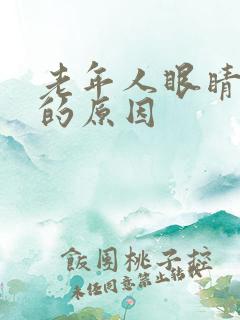 老年人眼睛模糊的原因