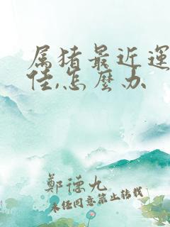 属猪最近运气不佳,怎么办