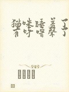 猫咪睡着了就没有呼噜声了