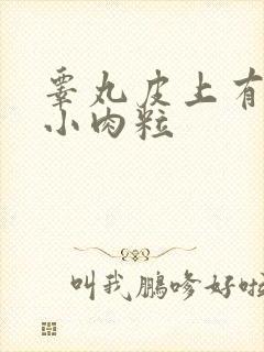 睾丸皮上有白色小肉粒