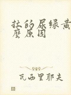 拉的尿绿黄是什么原因