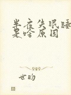 半夜失眠睡不着是啥原因