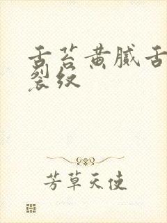 舌苔黄腻舌中有裂纹