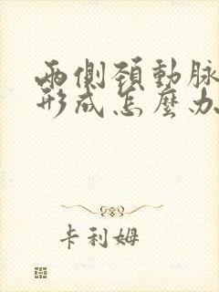 两侧颈动脉斑块形成怎么办