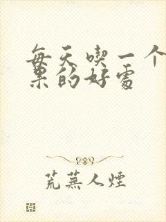 每天吃一个牛油果的好处