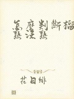 怎么判断榴莲肉熟没熟