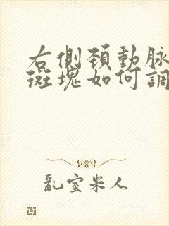 右侧颈动脉血管斑块如何调理