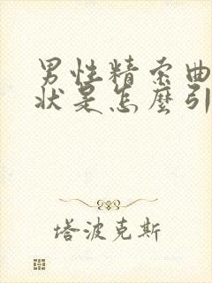 男性精索曲张症状是怎么引起的