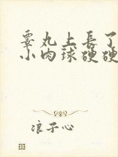 睾丸上长了一个小肉球硬硬的疼