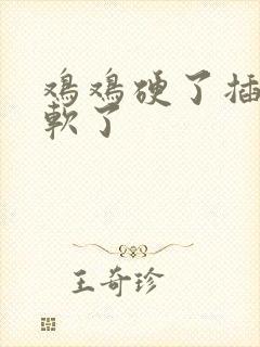 鸡鸡硬了插一会软了