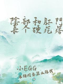 阴部和肛门之间长个硬疙瘩